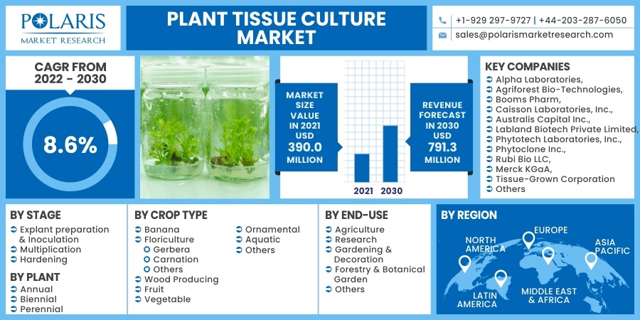 植物组织培养市场